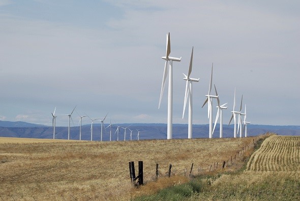 States Leading the Charge on Renewable Energy