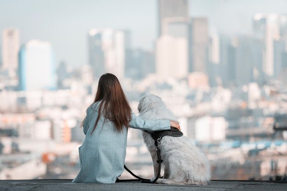The Most Dog-Friendly Cities in 2017