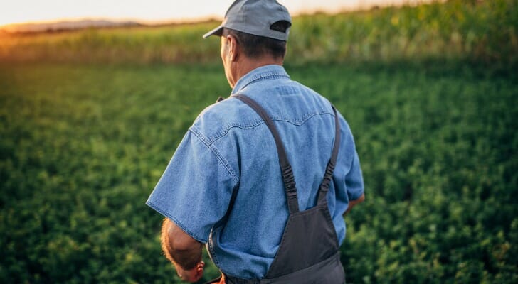 A farmer in a green field can now apply for small business stimulus relief.