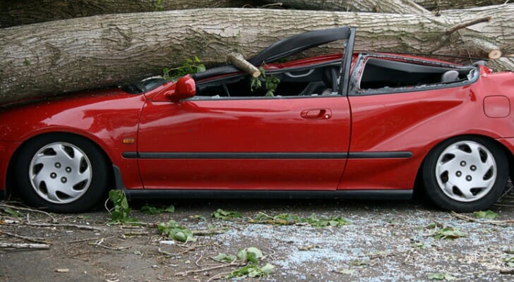Car crushed by a fallen tree