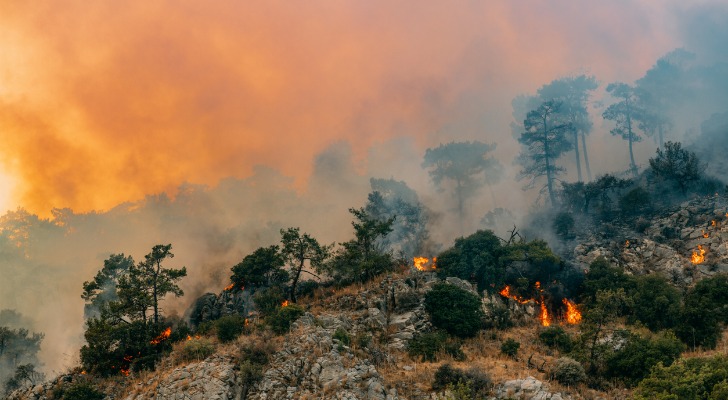 A wild fire, which can be exacerbated by climate change, burns along a hillside. 