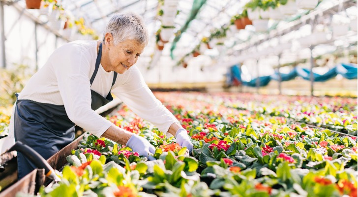 A retiree works at her part-time job at a garden center.