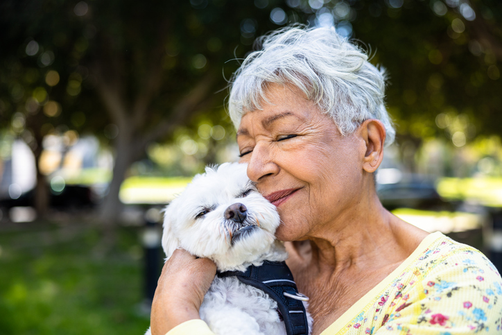 Creating an estate plan for your pets can help ensure their well-being and continuity of care. 