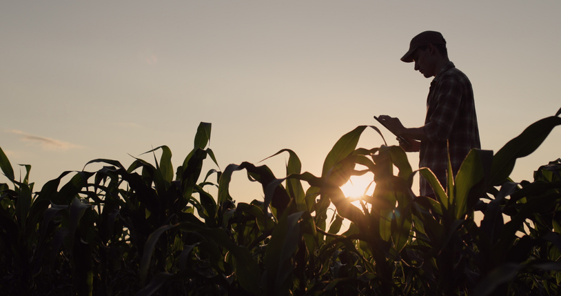 Estate planning can help farmers ensure the smooth transition of farm ownership and management from one generation to the next. 