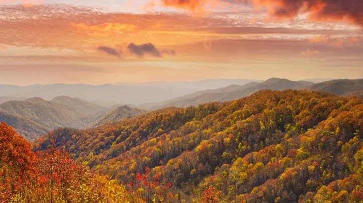 Rolling hills covered in autumn treetops during a vibrant sunset in the Smokey Mountain National Park in Tennessee.