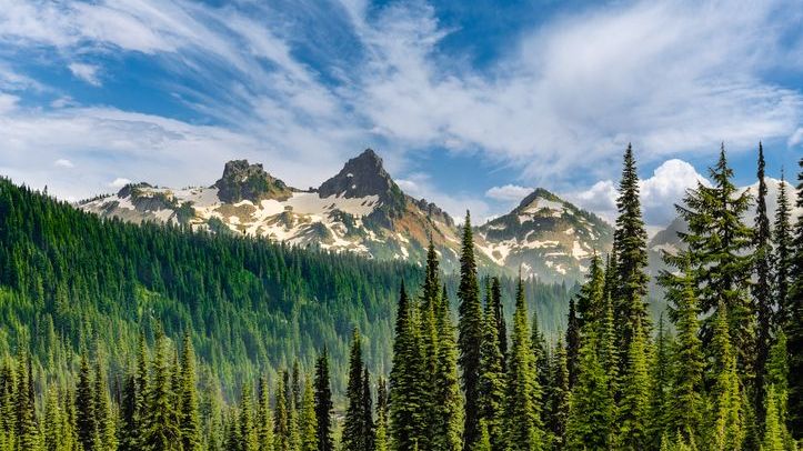 The Tatoosh Range is a rugged mountain range located south of Mt. Rainier. 