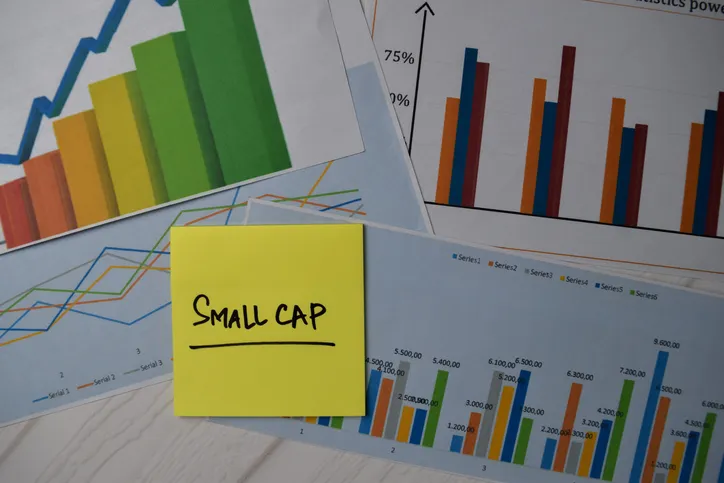 Small-cap value and growth strategies each respond differently to market conditions, making the distinction between the two relevant to how you build and manage a portfolio.