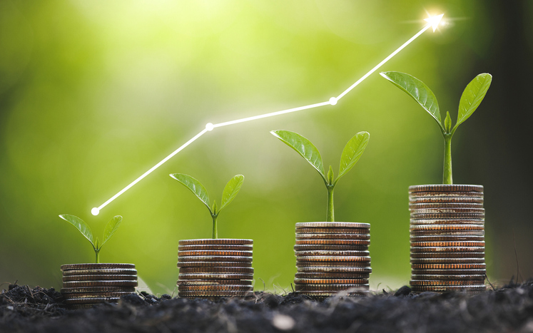 Seedlings growing on coins.